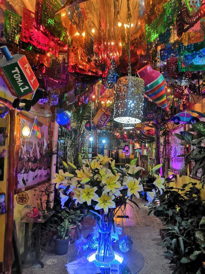 Hostal Oaxaca Magic Exteriér fotografie