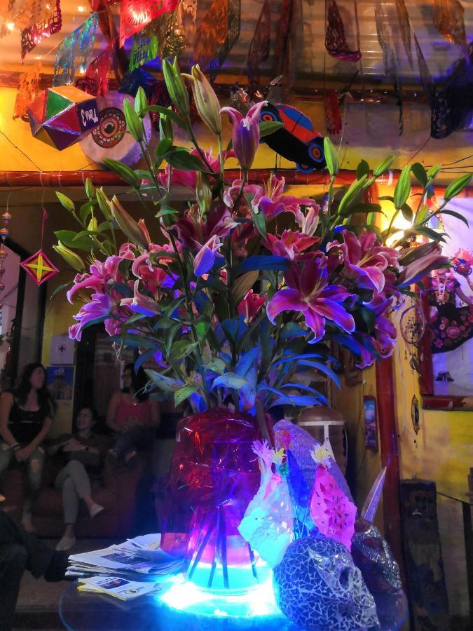 Hostal Oaxaca Magic Exteriér fotografie